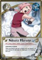 /album/imagens/sakura-ssss-jpg/